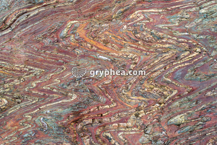 Roches métamorphiques plissées - gryphea.com